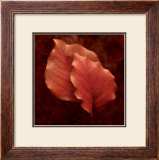 Summerset Red