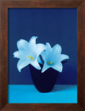 Buy Lilies at AllPosters.com