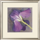 Buy Parfum at AllPosters.com