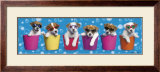 Shady Pups