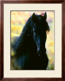 Buy Unknown at AllPosters.com