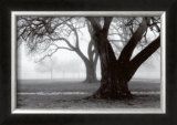 Buy Strength and Beauty at AllPosters.com
