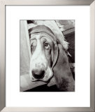 Sorrowful Jones