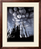 Clouds of Ash