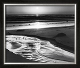 Buy Birds on a Beach at AllPosters.com