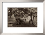 Buy The Old Bridge at AllPosters.com