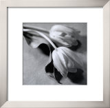 Buy Two Tulips at AllPosters.com