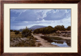 Seco Creek