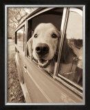 Are We There Yet