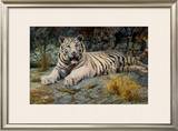 Buy White Tiger at AllPosters.com