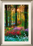 Buy Flower Forest at AllPosters.com