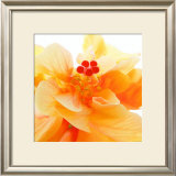 Bolero Framed Art Print
