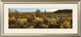 Buy Sonora at AllPosters.com