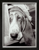 Sorrowful Jones