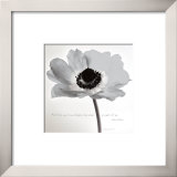 Buy Poppy Love at AllPosters.com