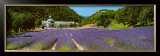Buy Sault - Provence at AllPosters.com