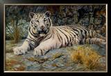 Buy White Tiger at AllPosters.com