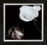 Buy Two Roses at AllPosters.com