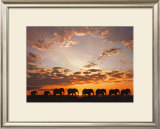 Troupe d'Elephats