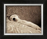 Buy Dog Tired at AllPosters.com