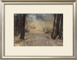 Silent Path Framed Art Print