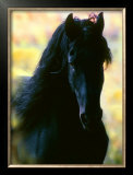 Buy Unknown at AllPosters.com