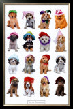 Buy Puppies with Hats at AllPosters.com