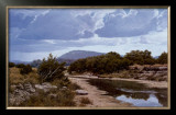 Seco Creek