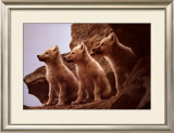 Buy Wolf Pups at AllPosters.com
