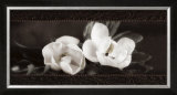 Buy Soft Magnolias I at AllPosters.com