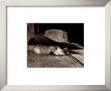 Sieste Framed Art Print