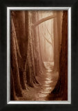 Buy Cypress Trail at AllPosters.com