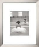 Little Ballerina