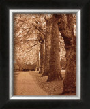 Autumn Stroll I