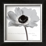 Buy Poppy Love at AllPosters.com