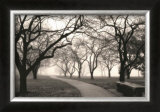 Buy Foggy Morning Walk at AllPosters.com