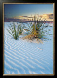 Buy New Mexico at AllPosters.com