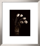Buy Dramatic Tulips at AllPosters.com