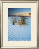 Buy New Mexico at AllPosters.com