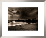 Horse Looking at the river, Normandie 99