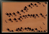Buy Caravanes de Dromadaires pres de Fachi at AllPosters.com