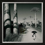 Allee des Baobabs II