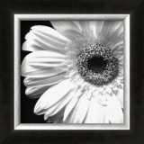 Sunburst I