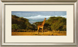 Buy Kimana Area - Kenya at AllPosters.com
