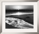Buy Birds on a Beach at AllPosters.com