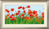 Buy Poppy Fields at AllPosters.com