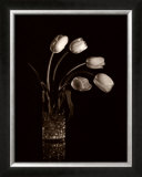Buy Dramatic Tulips at AllPosters.com