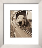 Are we there Yet?