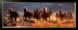 Buy Roundup at AllPosters.com