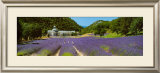Buy Sault - Provence at AllPosters.com